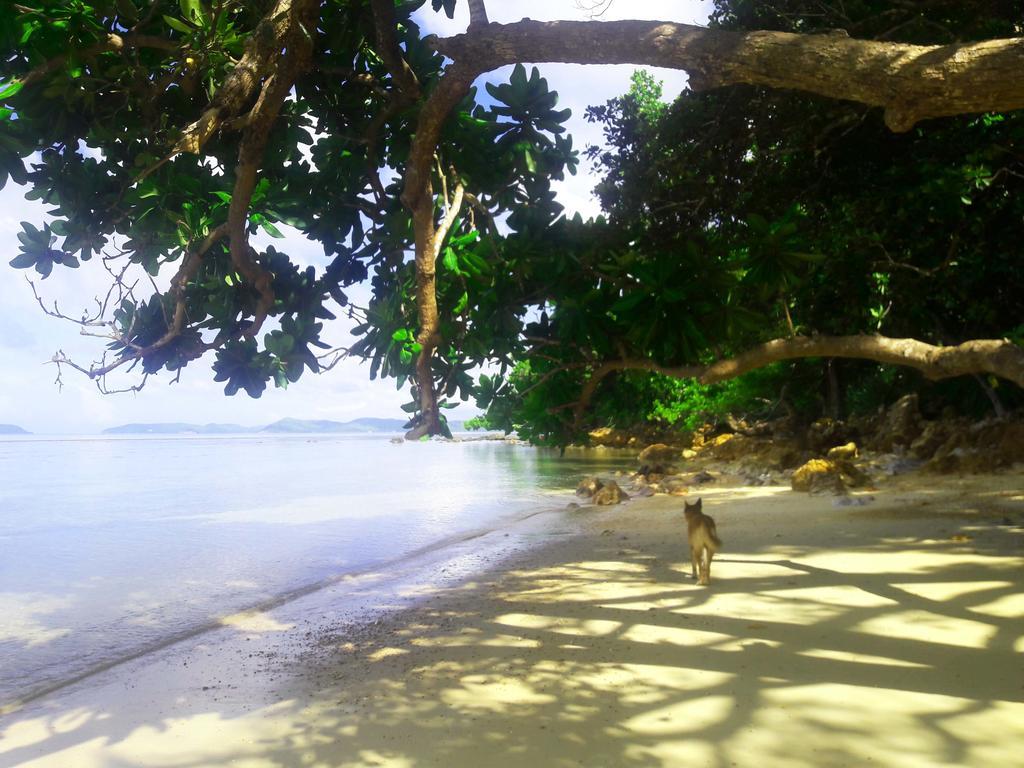 Alam Indah Beach Resort Busuanga Exterior photo