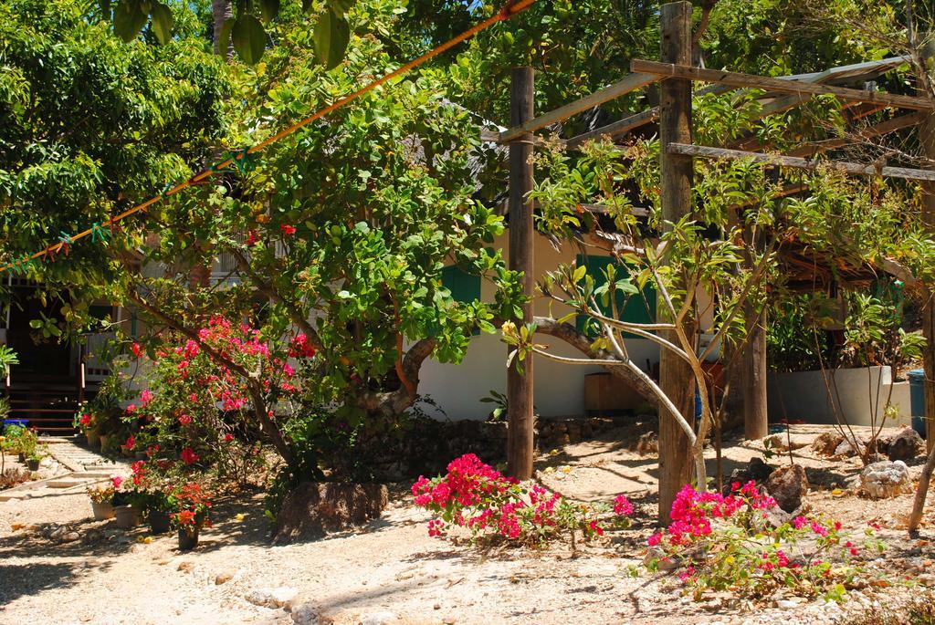 Alam Indah Beach Resort Busuanga Exterior photo